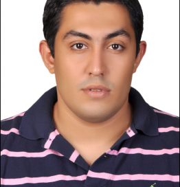 AMR ELKHAWAS AMR ELKHAWAS